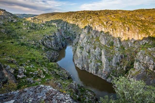 Flor Do Douro - Comercio E Hotelaria, Lda ミランダ・ド・ドウロ エクステリア 写真