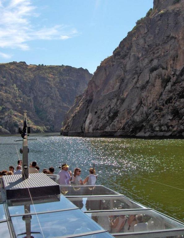 Flor Do Douro - Comercio E Hotelaria, Lda ミランダ・ド・ドウロ エクステリア 写真
